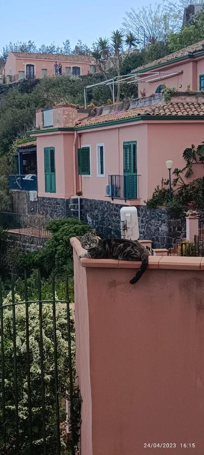 La Timpa Villa Acireale Kültér fotó